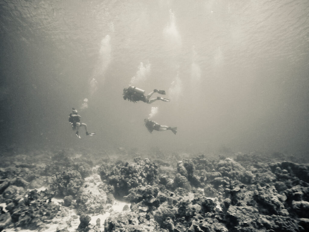 IT recruitment op hoog niveau