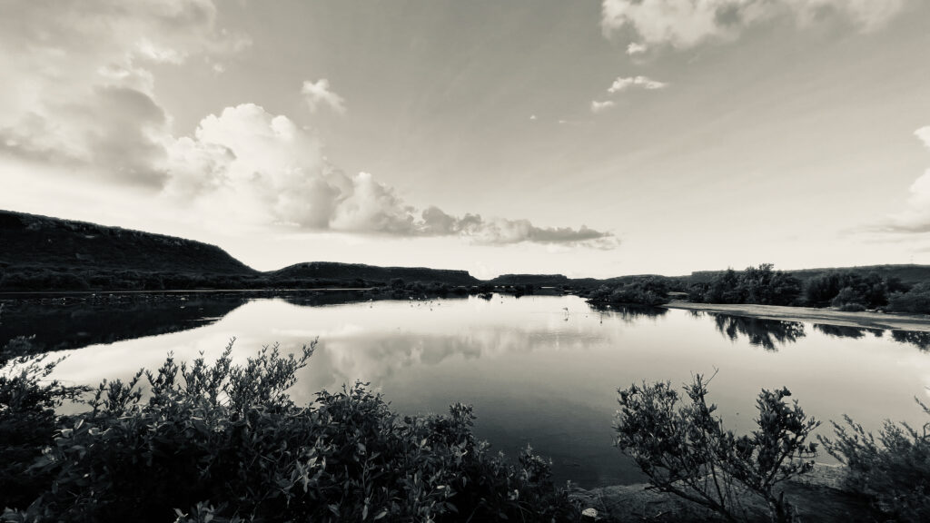 IT recruitment op hoog niveau